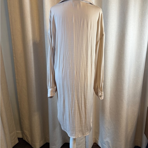 Rachel Zoe Soft Taupe Long Sleeve Dress - Picture 4 of 7